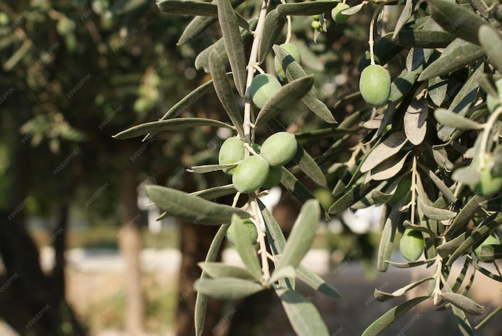 Olio EVO, quando è utile lontano dai fornelli…